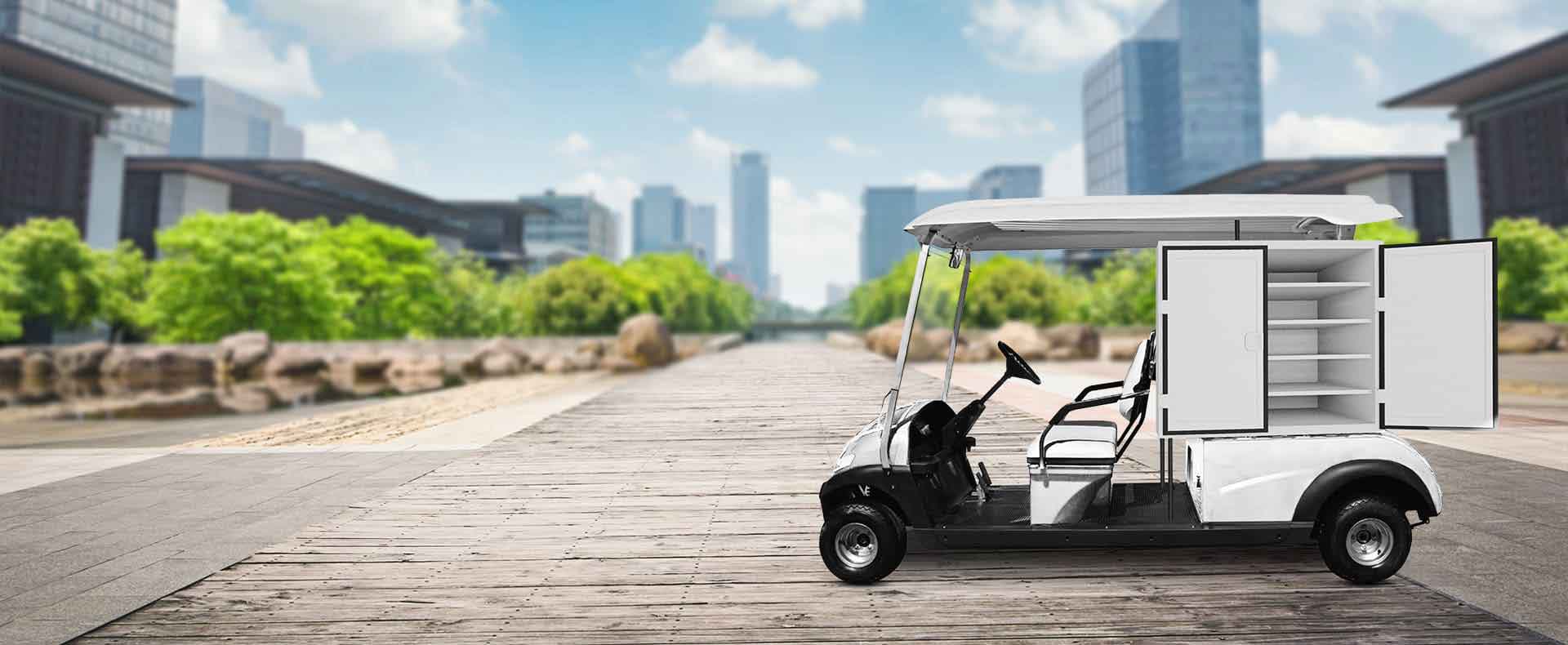 THE NO.1 COMPANY <br />                         FOR ELECTRIC <br />                         CARTS IN GCC COUNTRIES