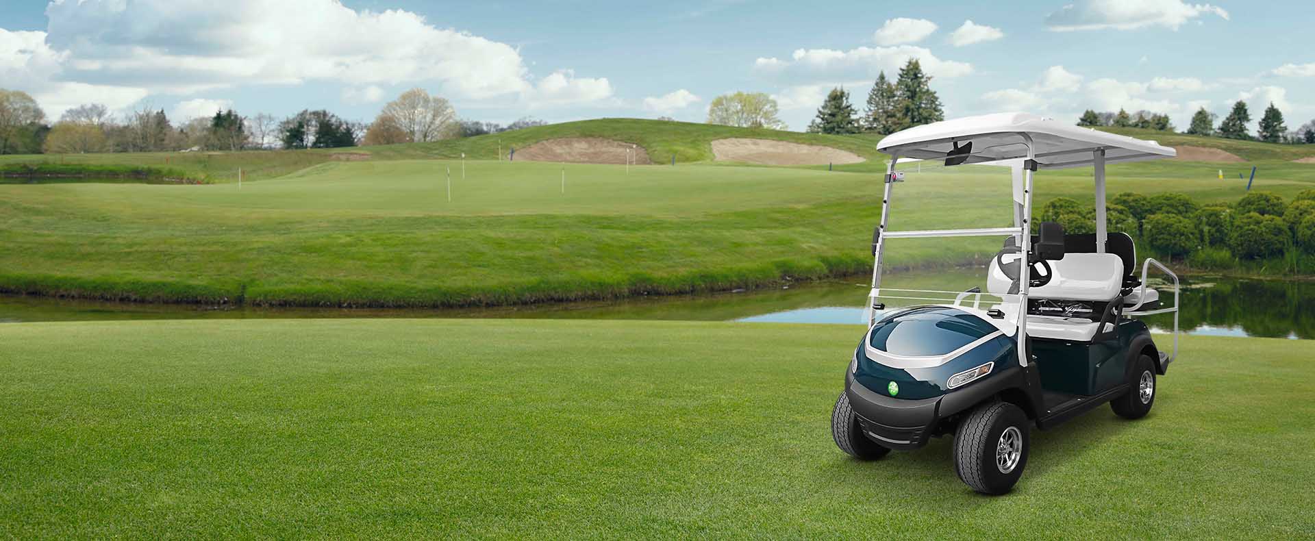 THE NO.1 COMPANY <br /> FOR ELECTRIC <br /> CARTS IN GCC COUNTRIES
